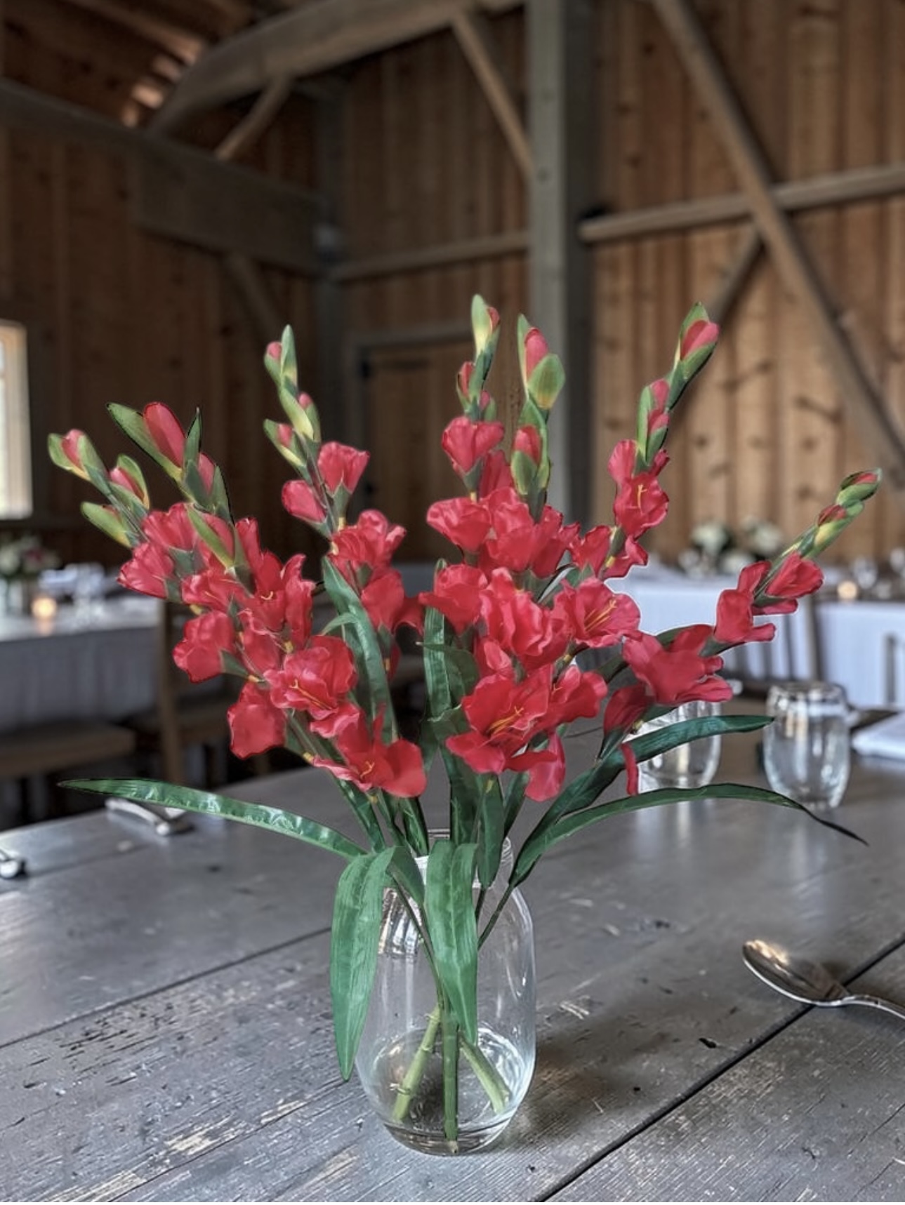 Satin Gladiola Bushes - Image 11