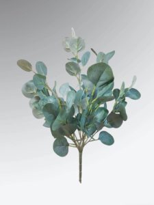 Silver Dollar Eucalyptus Bush