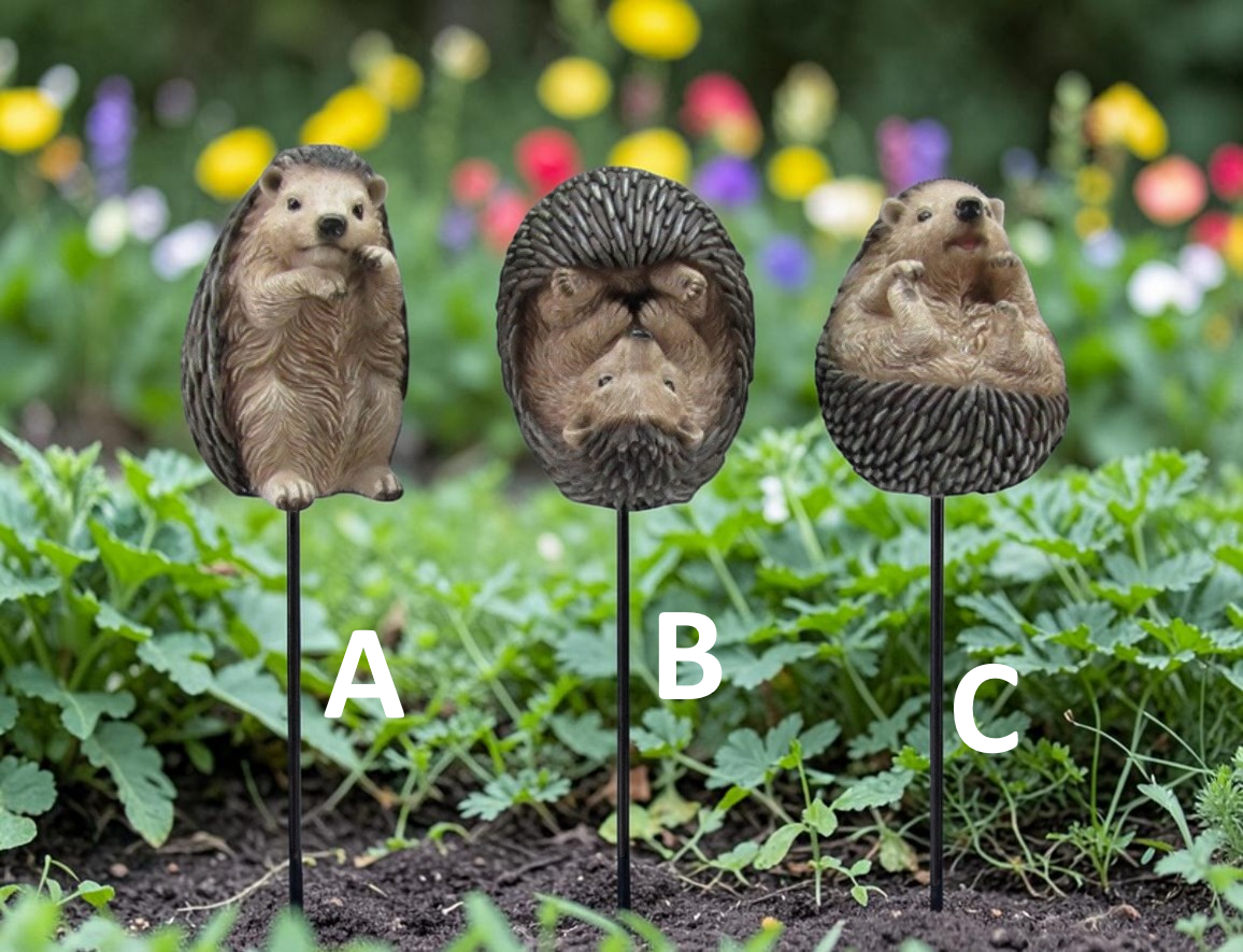 Hedgehog Picks - Each - Image 2