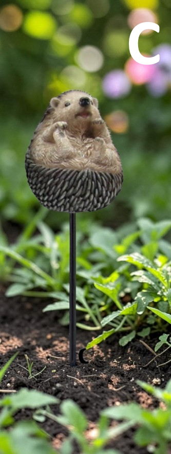 Hedgehog Picks - Each - Image 5