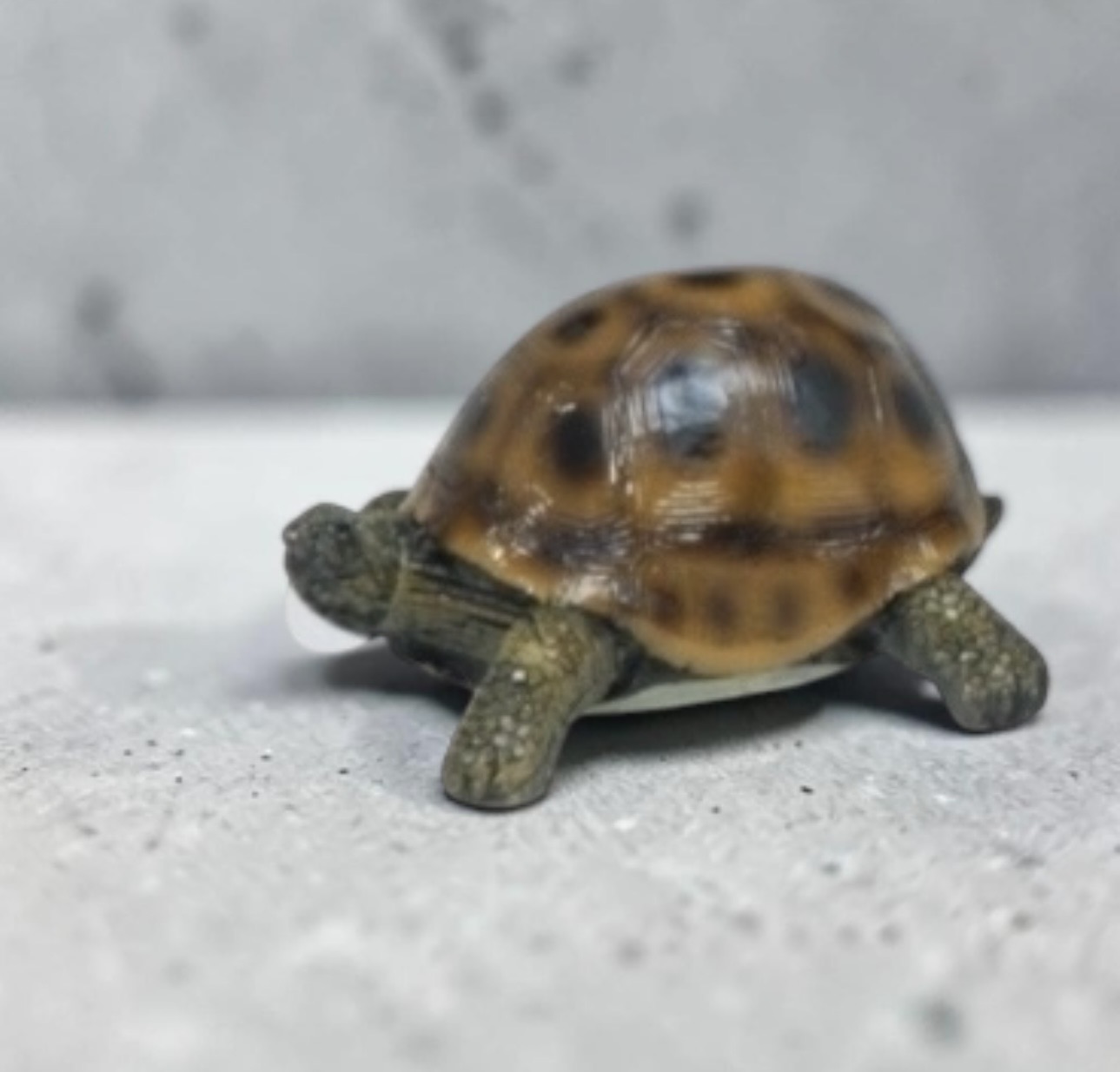 Turtle Figurines - Each - Image 4