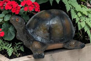 Turtle Figurines - Each