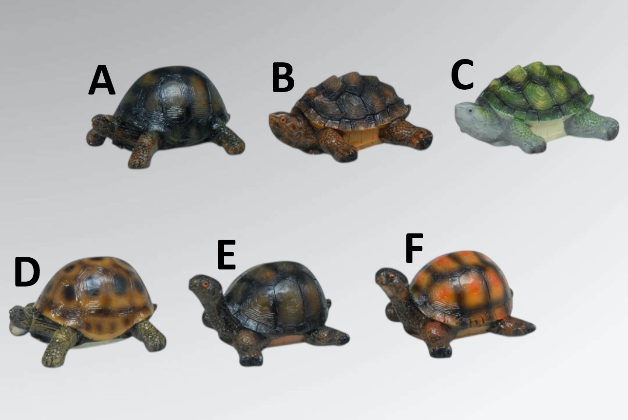 Turtle Figurines - Each - Image 5