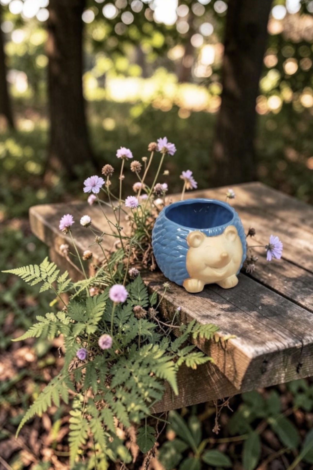 Hedgehog Pots - Each - Image 5