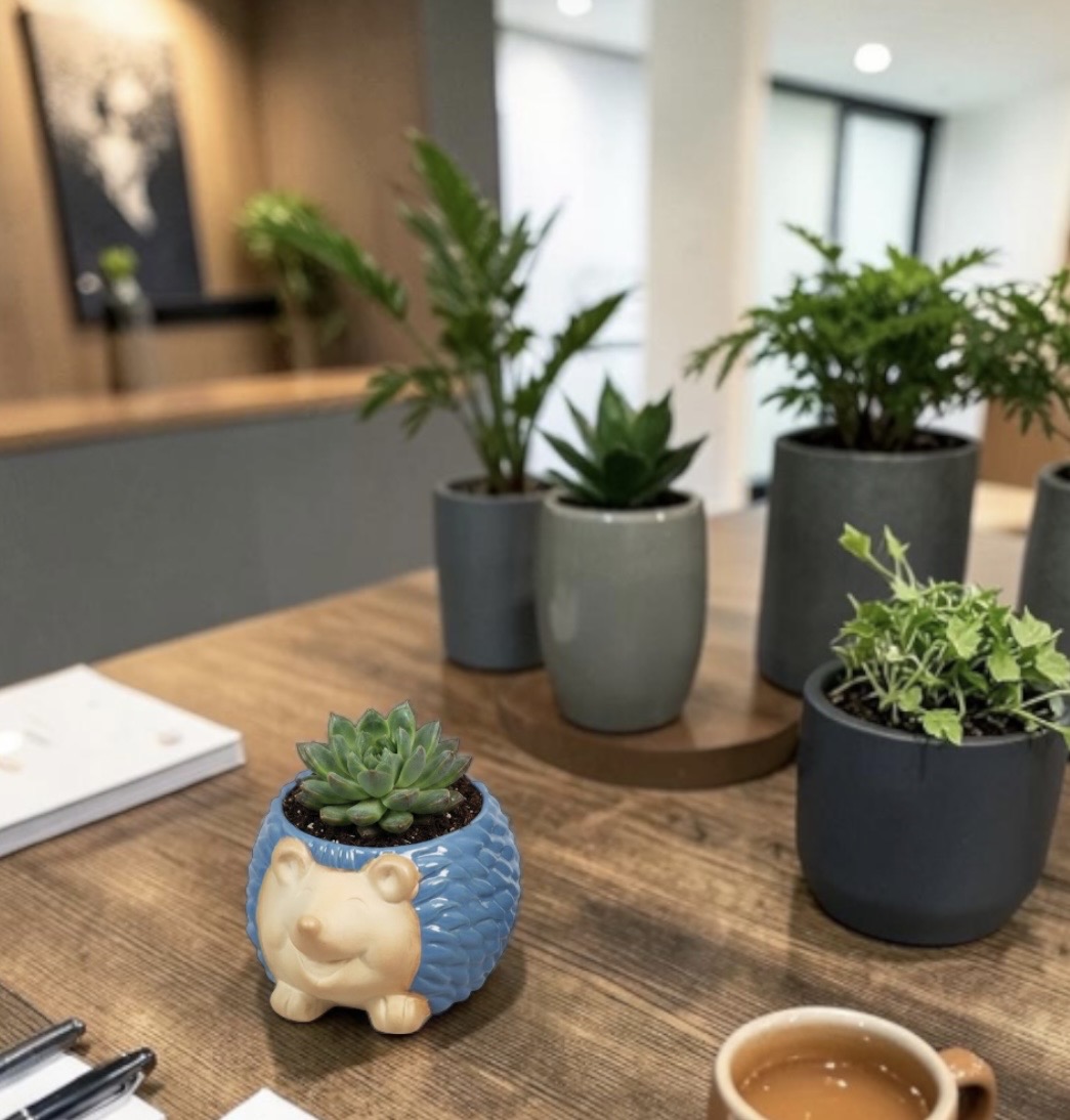 Hedgehog Pots - Each - Image 2