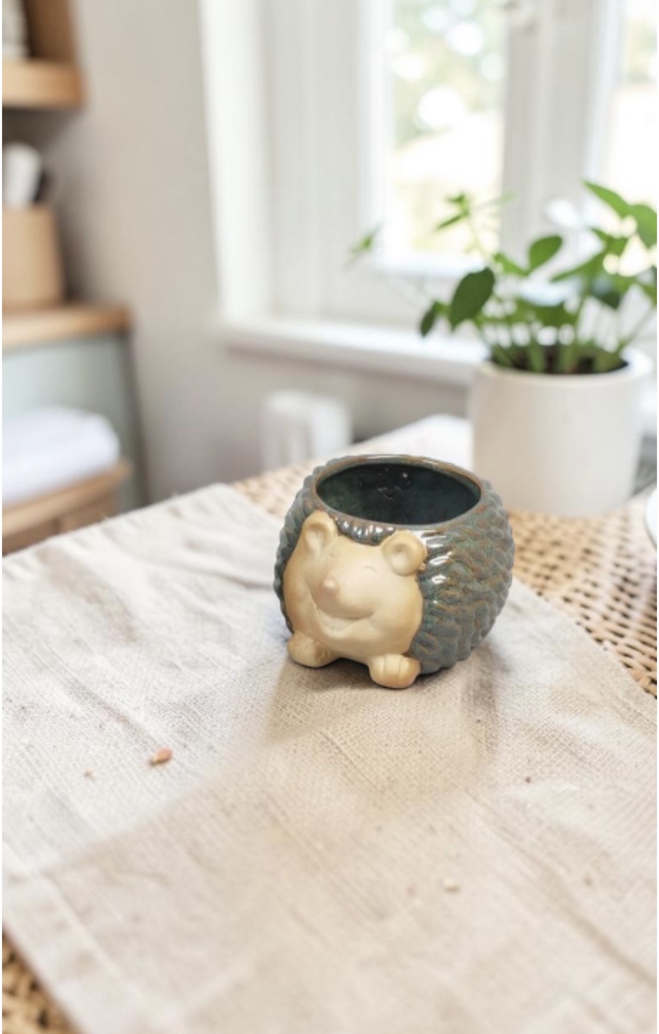 Hedgehog Pots - Each - Image 7