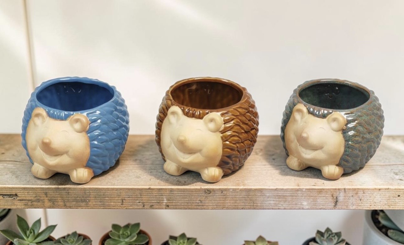 Hedgehog Pots - Each - Image 9