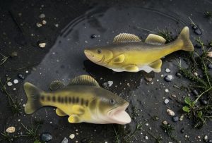 Fish/ Lg. Mouth Bass or Walleye - Each