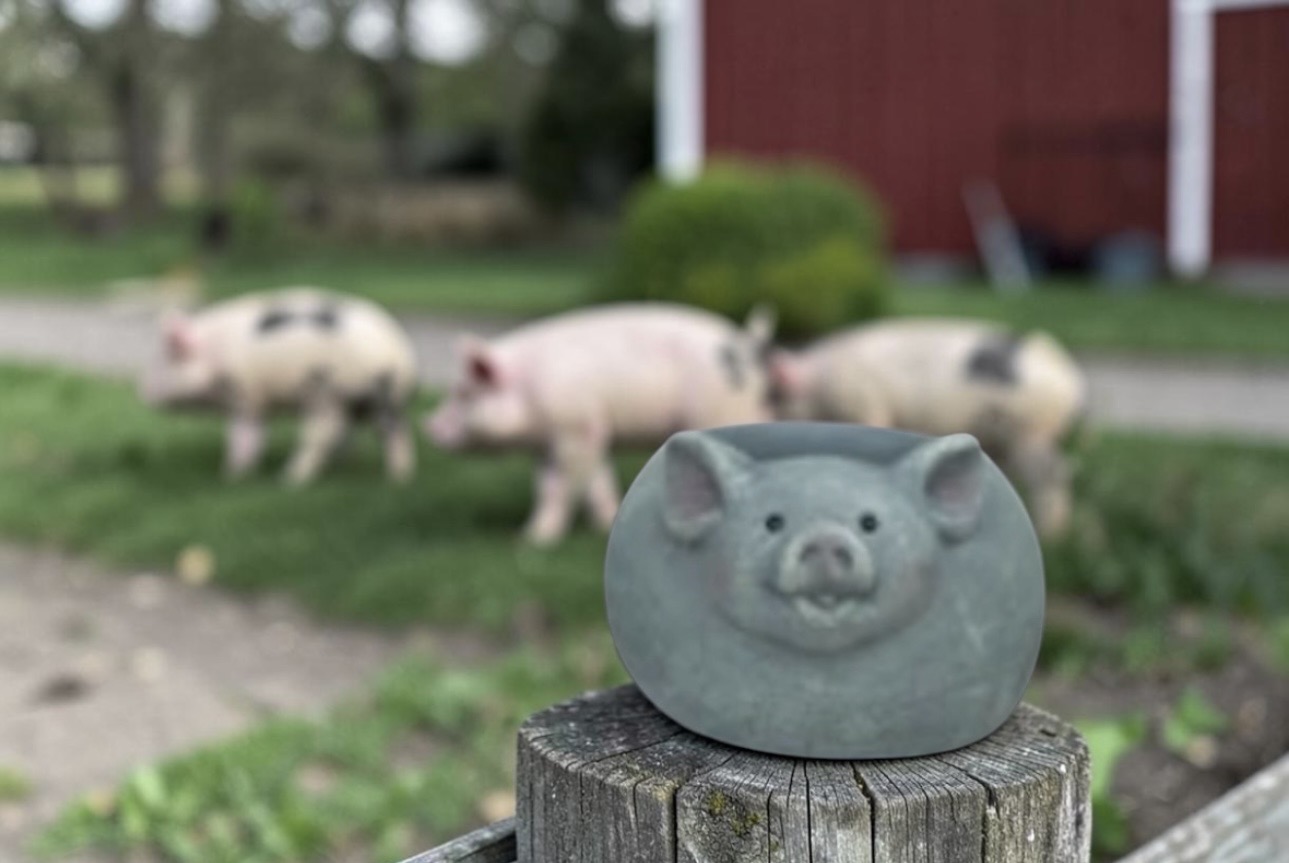 Cement Animal Planters - Each - Image 6