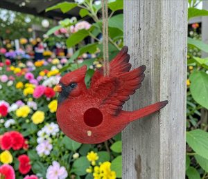 Cardinal BirdHouse
