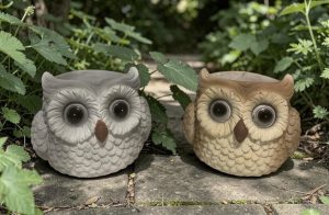 Owl Planters - Each