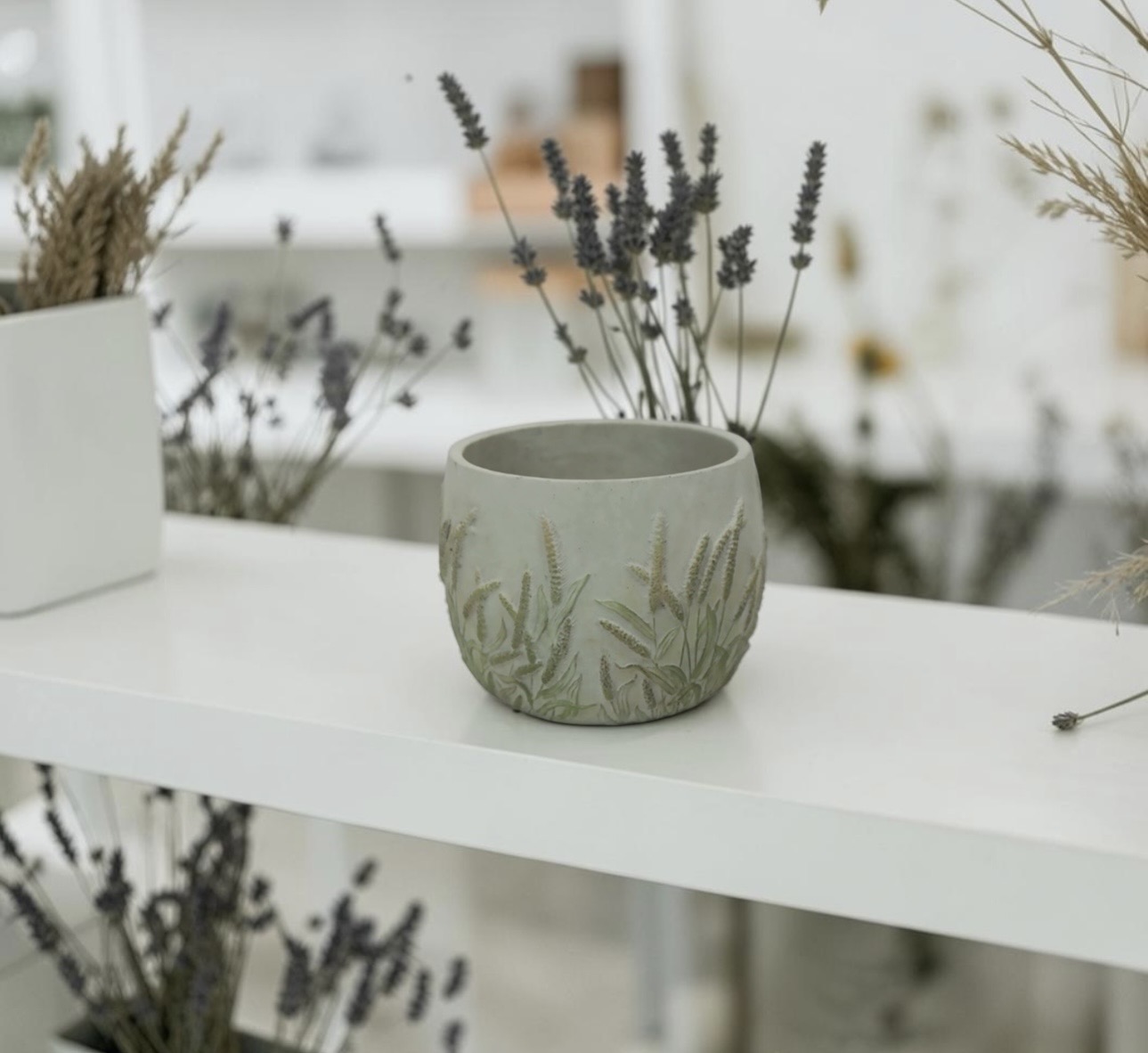 Foxtail Foliage Design Cement Pot - Image 5