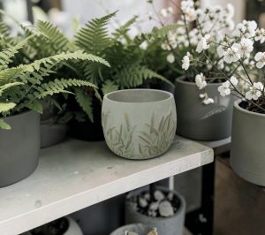 Foxtail Foliage Design Cement Pot