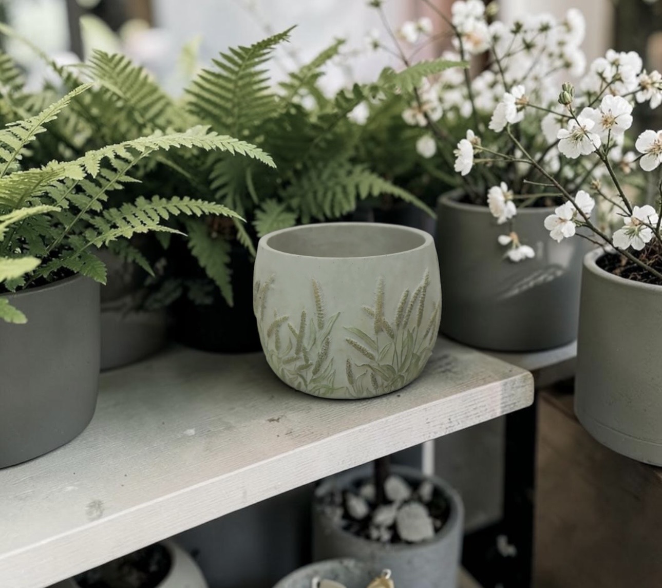 Foxtail Foliage Design Cement Pot