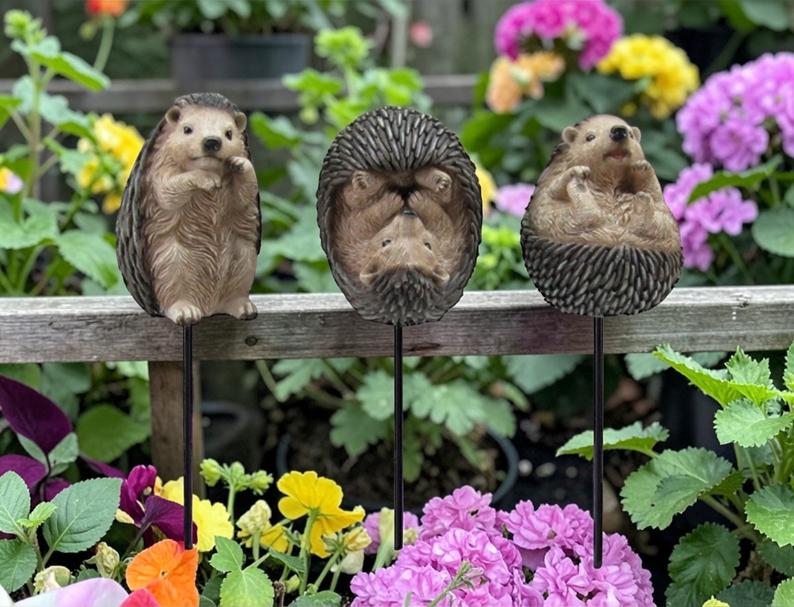 Hedgehog Picks - Each