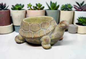 Cement Turtle Planter