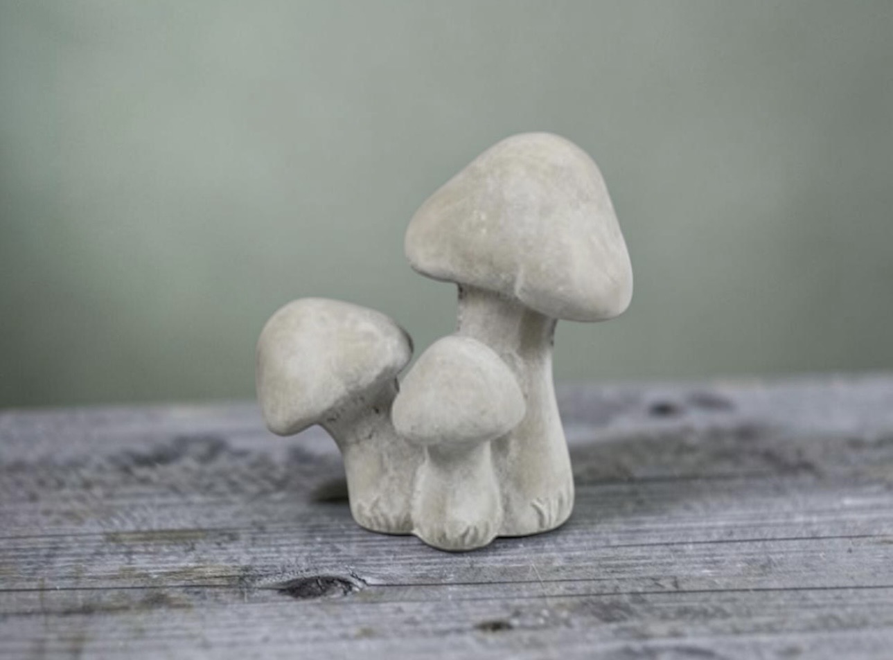 Woodsy Toadstool Mushrooms – Each - Image 7