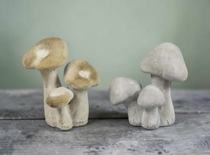Woodsy Toadstool Mushrooms – Each