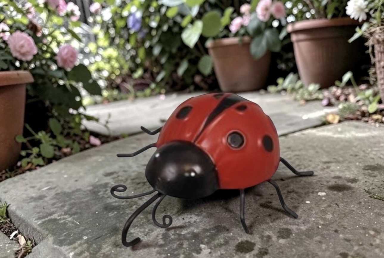 LadyBug & Bee Metal Pot Hangers - Each - Image 3