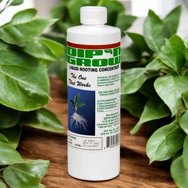 Dip 'N Grow Rooting Agent - 16 oz. - Image 2