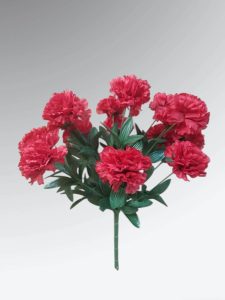 Red Carnation Bushes