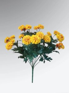 Flame Dwarf Marigold Bush