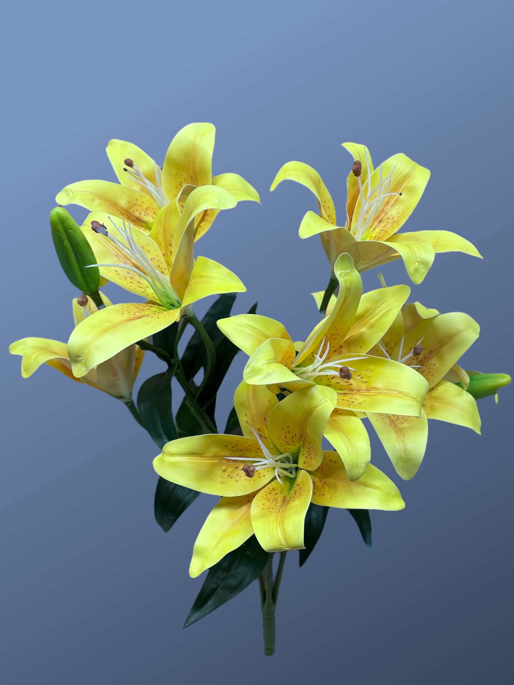 Hybrid Lily Bushes - Image 3