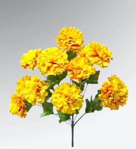 Spring Marigold Bushes