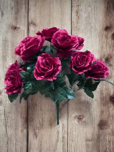 American Heritage Rose Bushes - Red