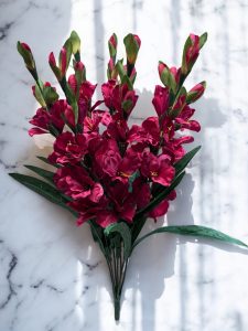 Satin Gladiola Bushes