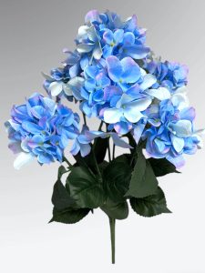 Regal Hydrangea Bushes