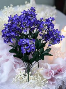 Lilac Bushes