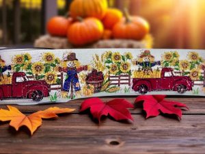Fall & Halloween