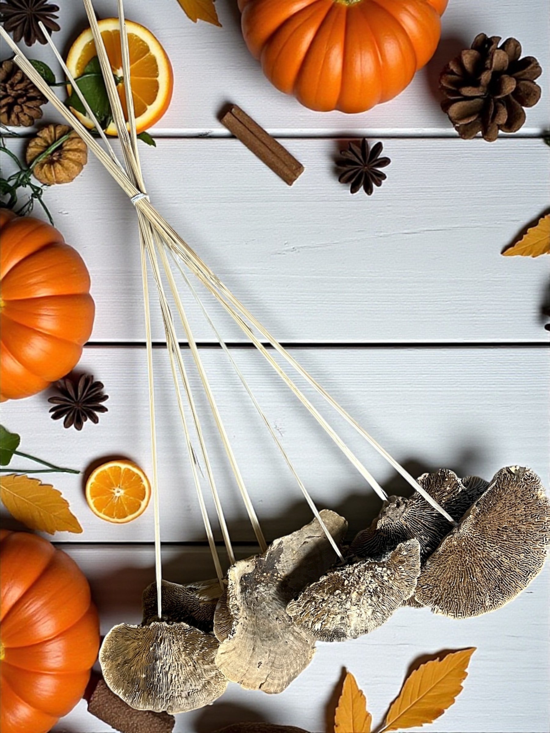 Natural Sponge Mushrooms - pkg. of 7 stems - Image 3