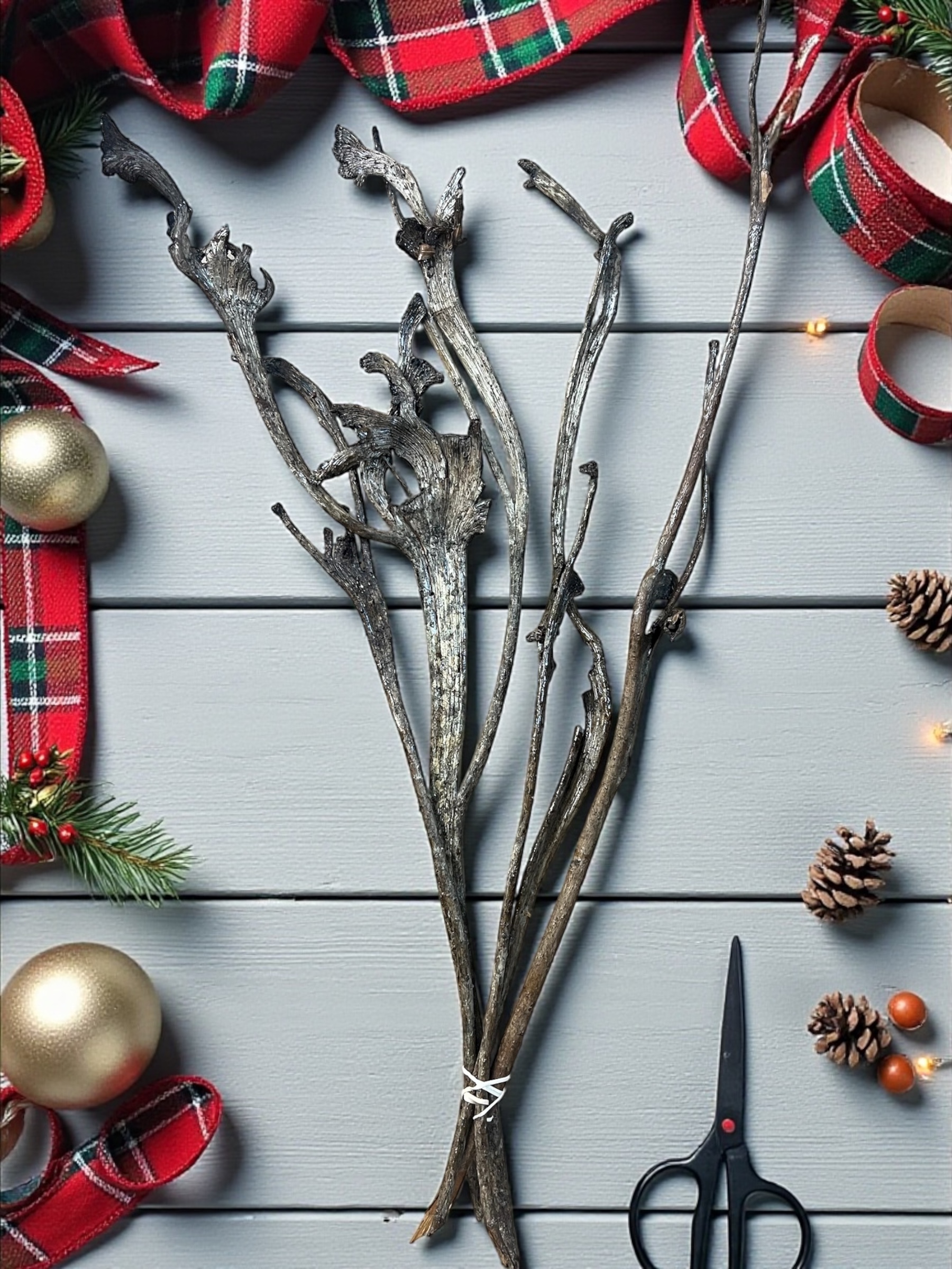 Natural Varnished Natraj - pkg. of 5 - Image 4