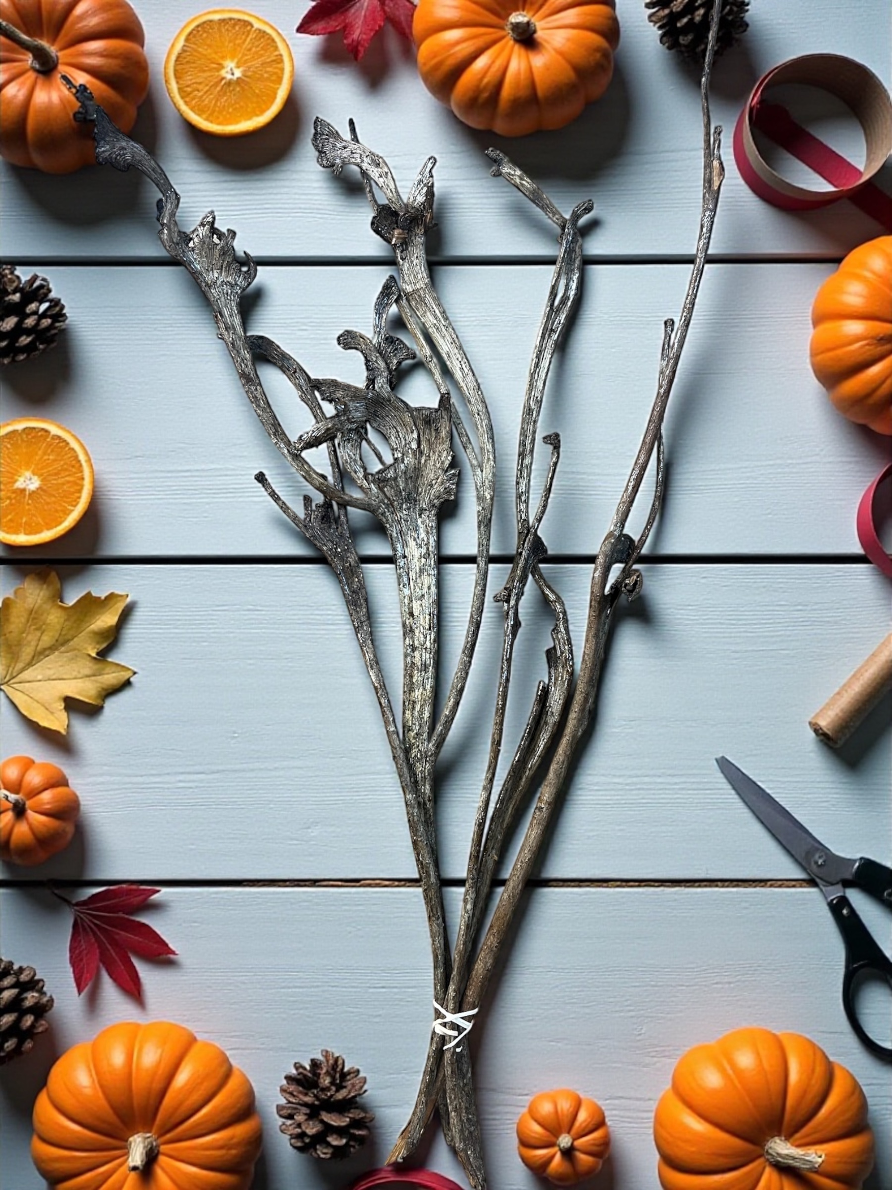 Natural Varnished Natraj - pkg. of 5