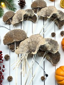 Natural Sponge Mushrooms - pkg. of 7 stems