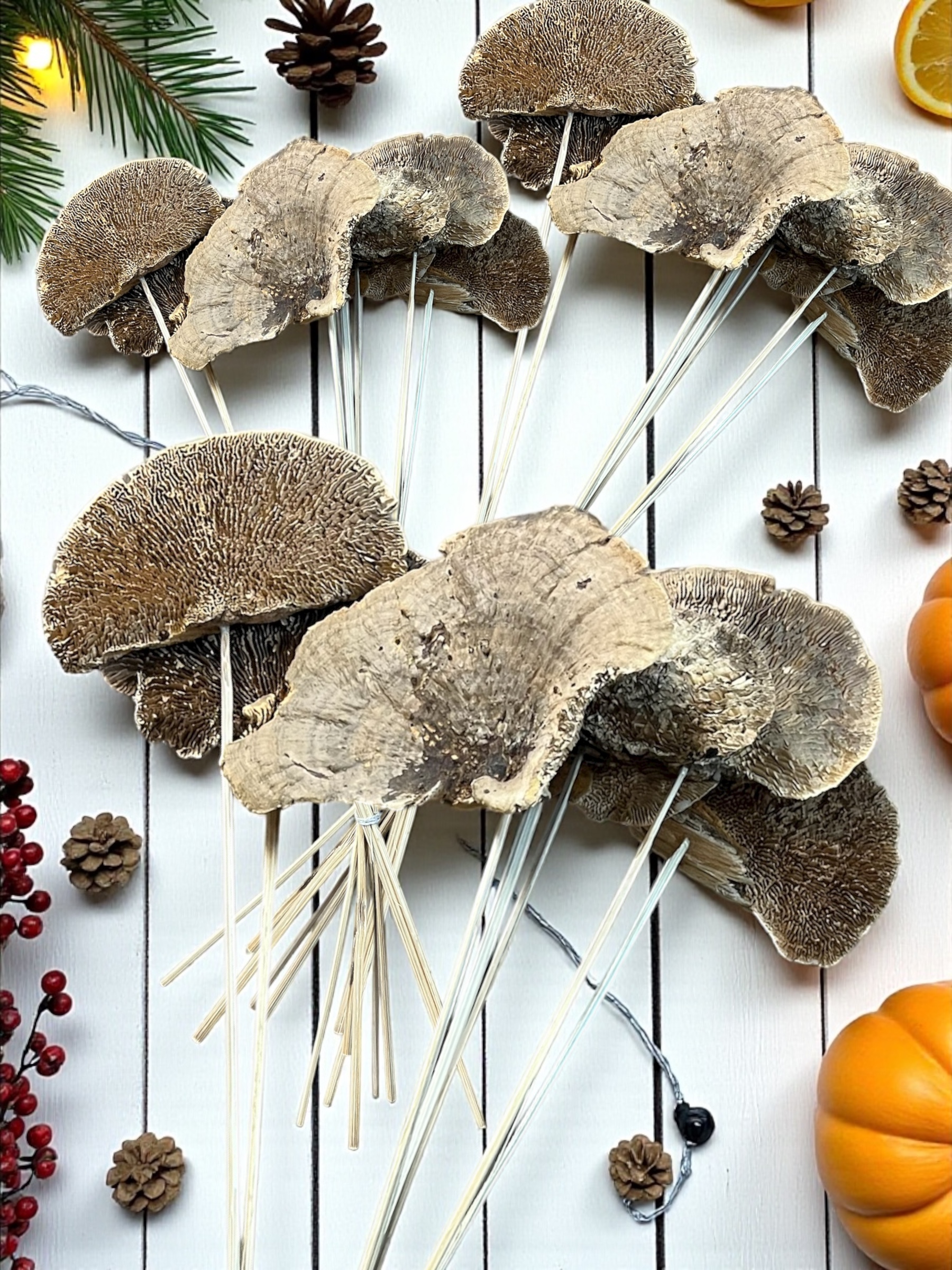 Natural Sponge Mushrooms - pkg. of 7 stems