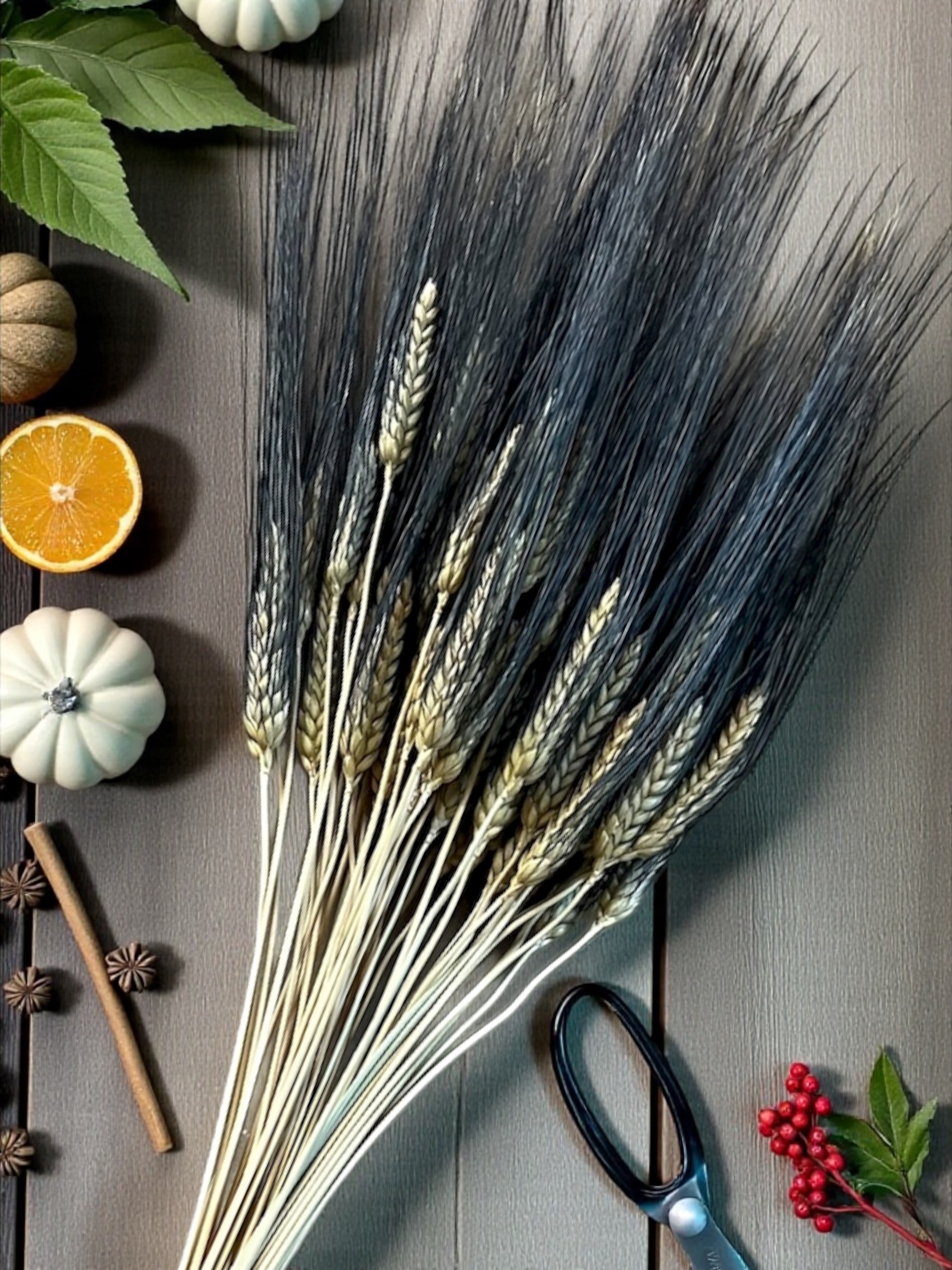 Wheat (Triticum) - 8oz. pkg. - Image 9