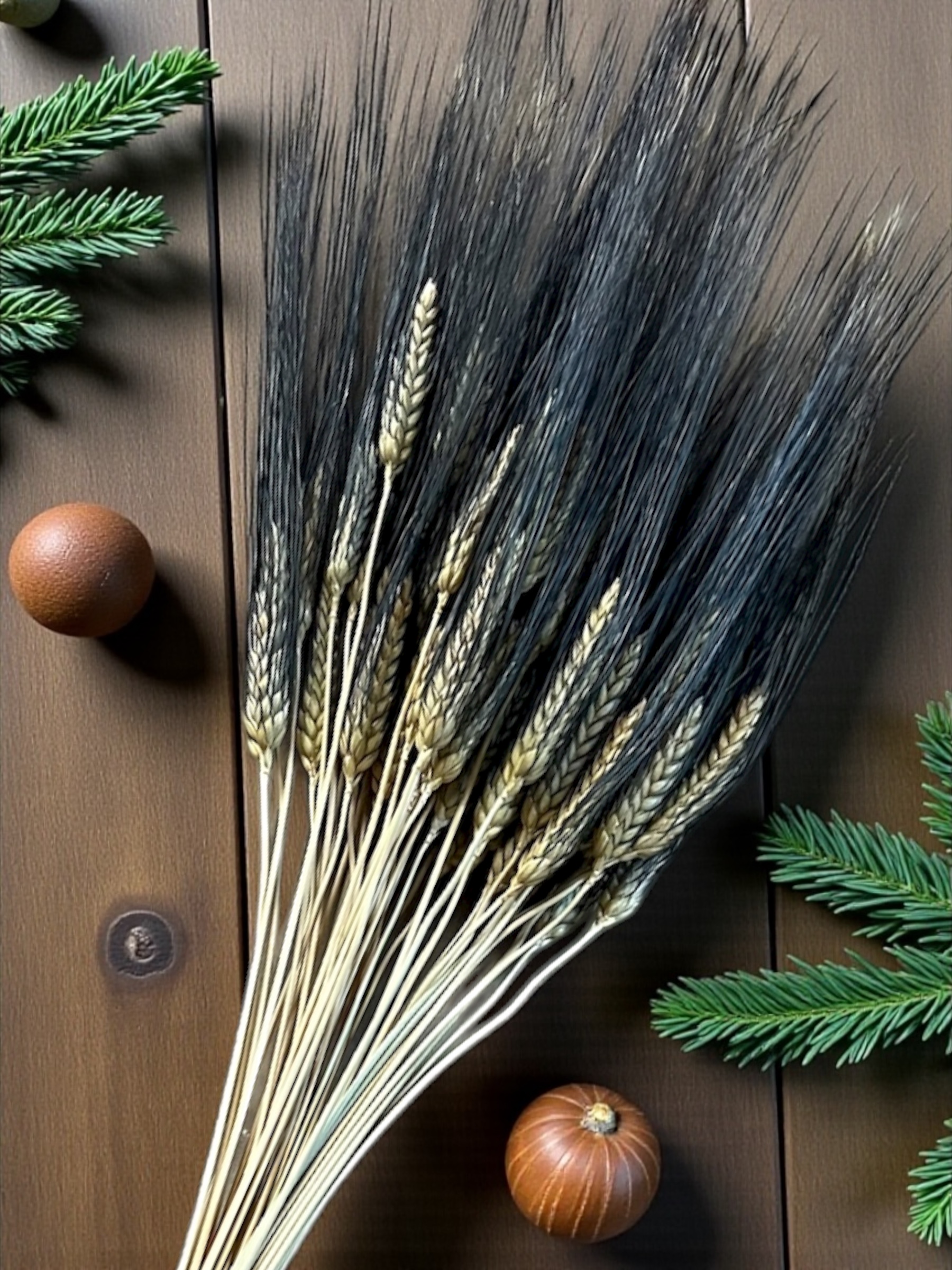 Wheat (Triticum) - 8oz. pkg. - Image 10