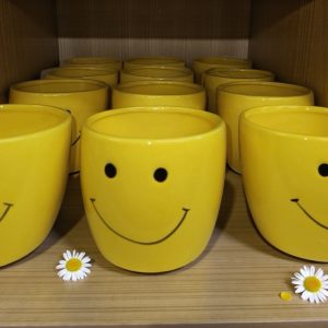 4.5" Yellow Smiley Face Container - Case/12