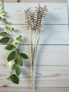 Natural Cane Springs - pkg. of 8 stems