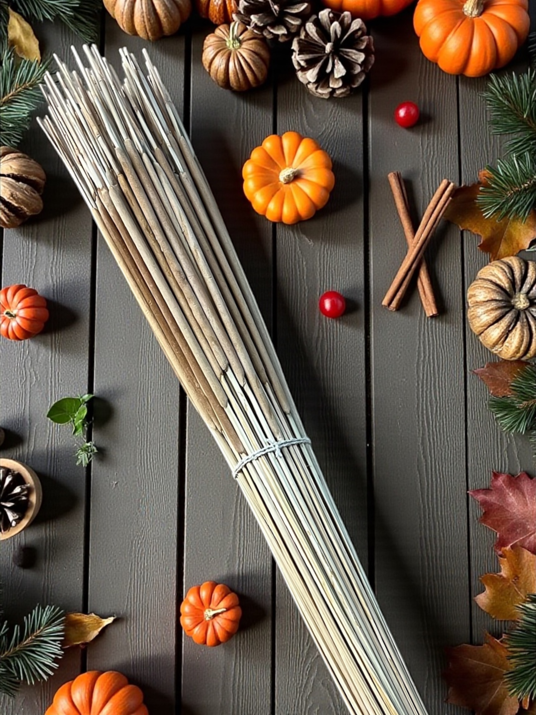 Pencil Cattails - pkg. of 100 stems - Image 6