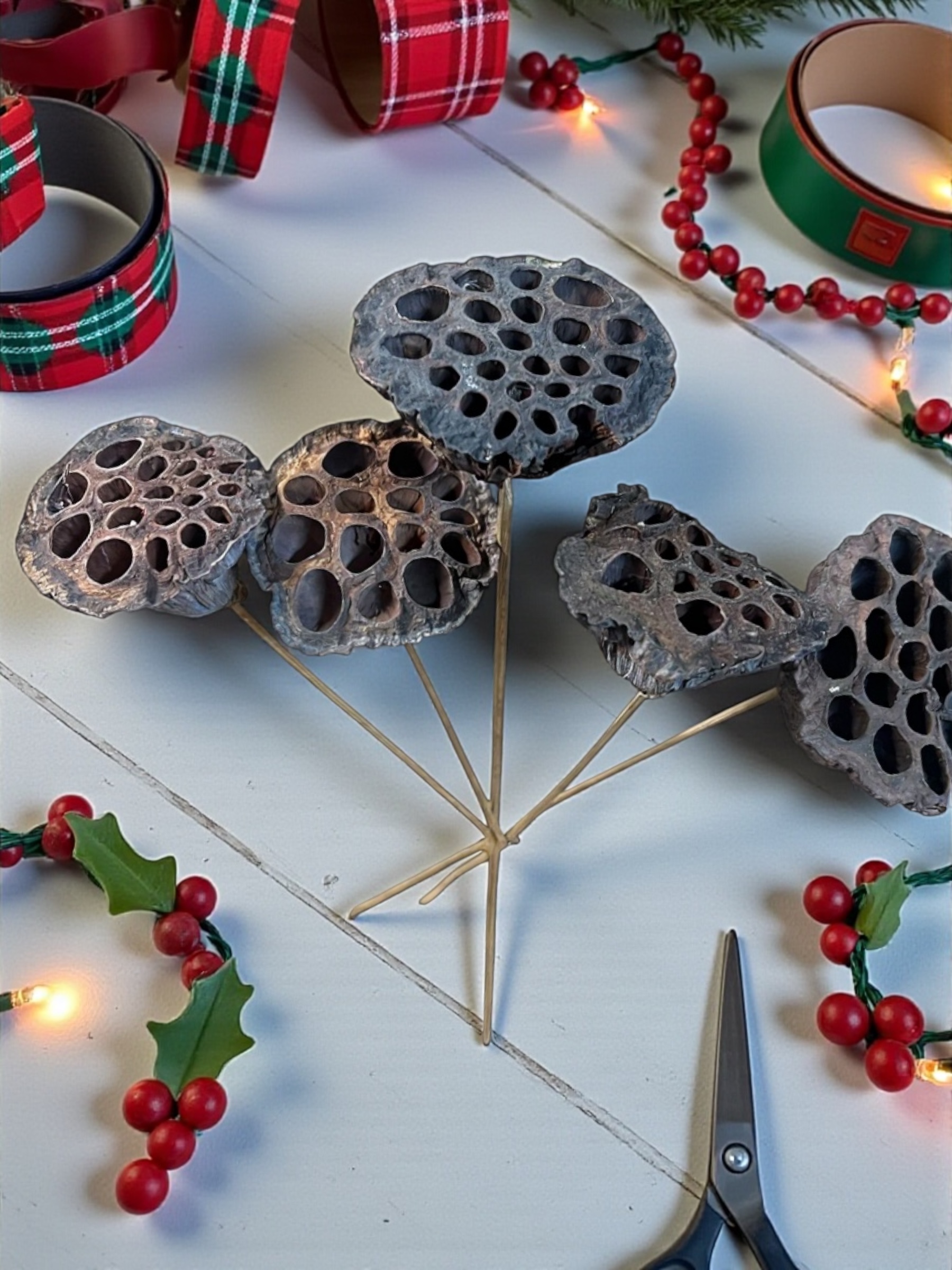 Natural Large Lotus Pods - pkg. of 5 stems - Image 3