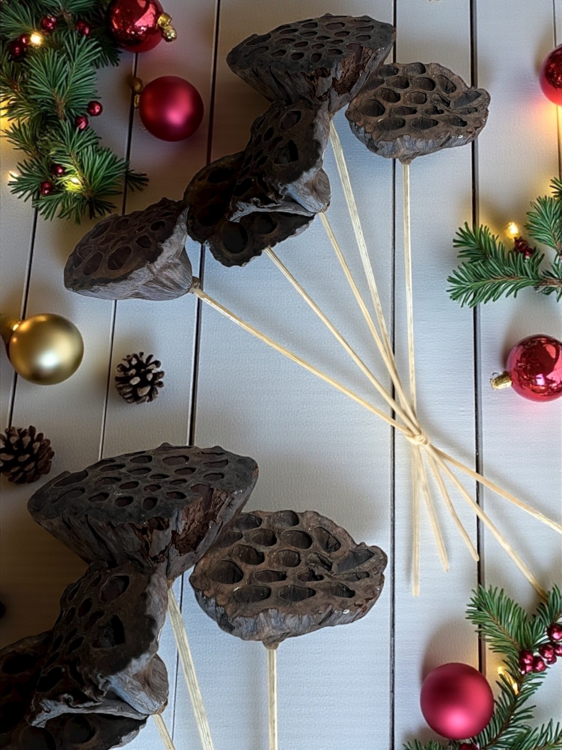 Natural Large Lotus Pods - pkg. of 5 stems - Image 4