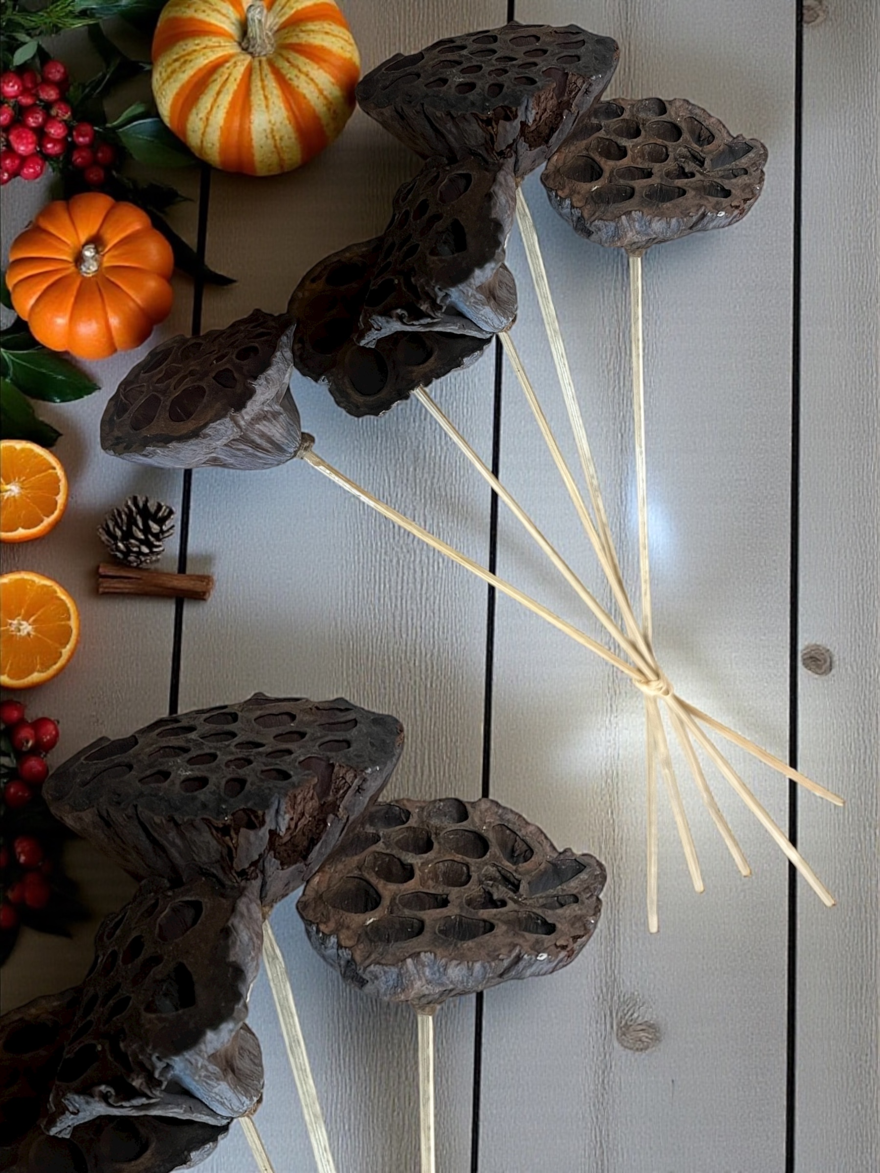 Natural Large Lotus Pods - pkg. of 5 stems - Image 5